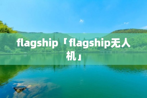 flagship「flagship无人机」