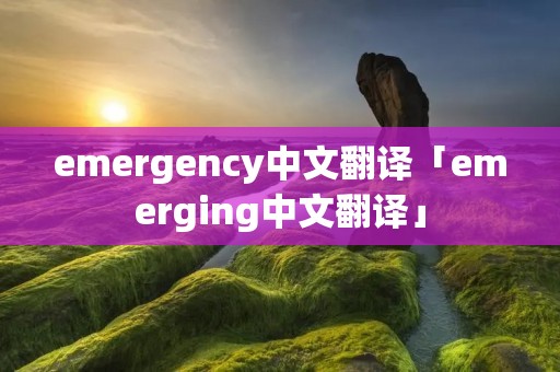 emergency中文翻译「emerging中文翻译」