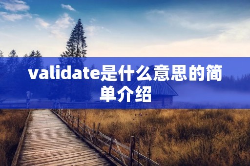 validate是什么意思的简单介绍