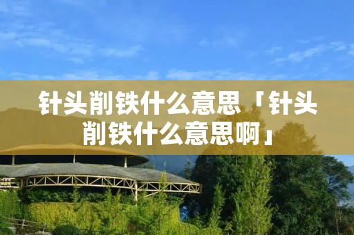 针头削铁什么意思「针头削铁什么意思啊」