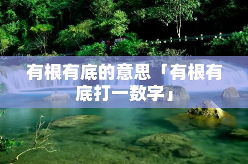 有根有底的意思「有根有底打一数字」