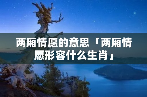 两厢情愿的意思「两厢情愿形容什么生肖」