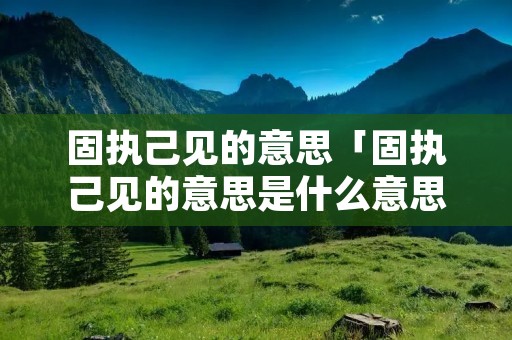 固执己见的意思「固执己见的意思是什么意思啊」