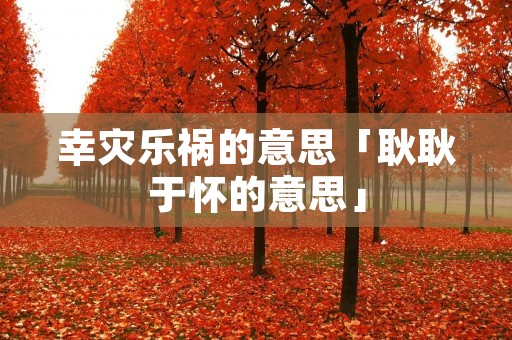 幸灾乐祸的意思「耿耿于怀的意思」