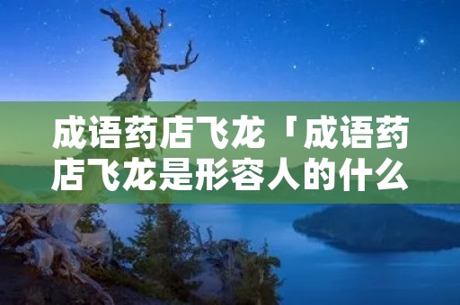 成语药店飞龙「成语药店飞龙是形容人的什么」 成语药店飞龙「成语药店飞龙是形容人的什么」