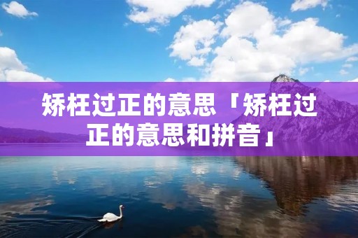 矫枉过正的意思「矫枉过正的意思和拼音」