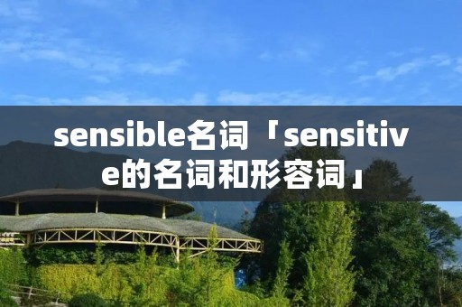 sensible名词「sensitive的名词和形容词」