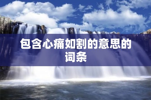 包含心痛如割的意思的词条