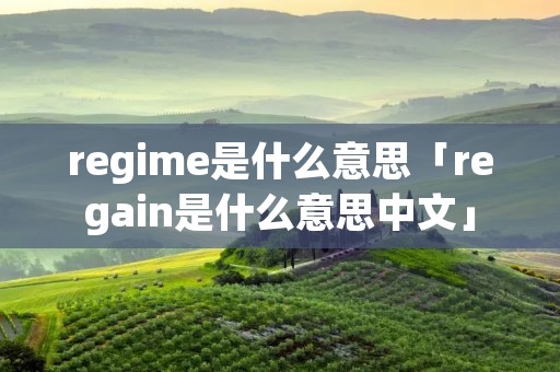 regime是什么意思「regain是什么意思中文」