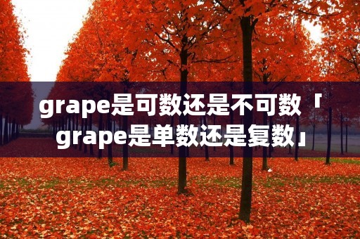 grape是可数还是不可数「grape是单数还是复数」