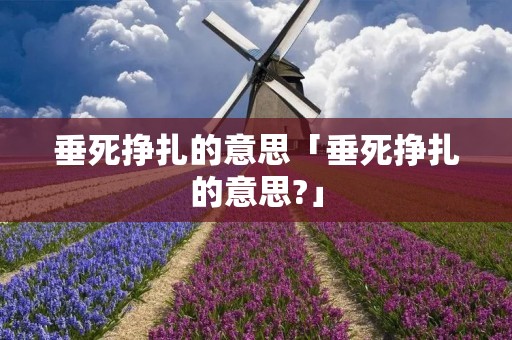 垂死挣扎的意思「垂死挣扎的意思?」 垂死挣扎的意思「垂死挣扎的意思?」