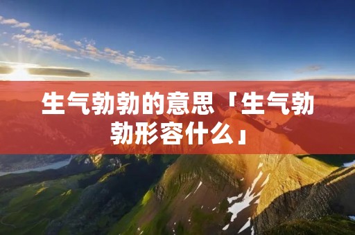 生气勃勃的意思「生气勃勃形容什么」