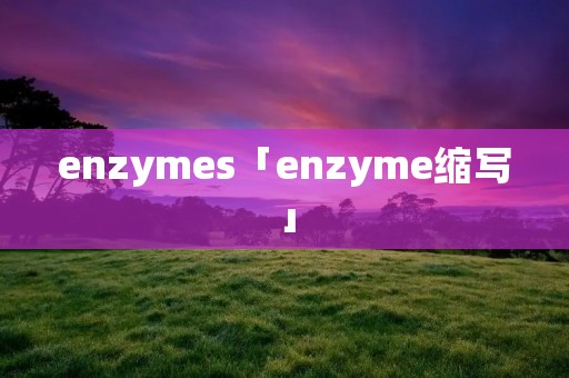 enzymes「enzyme缩写」
