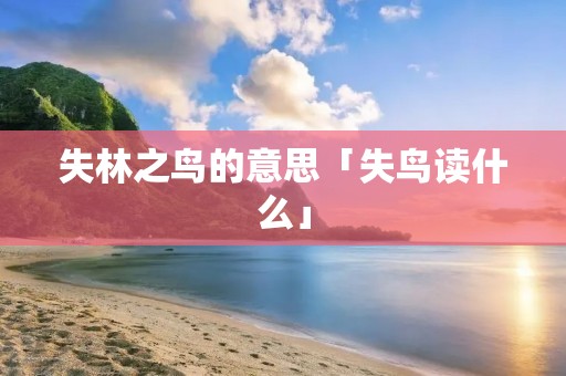 失林之鸟的意思「失鸟读什么」