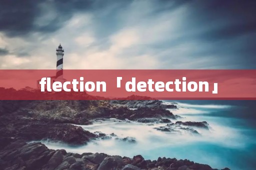 flection「detection」 flection「detection」