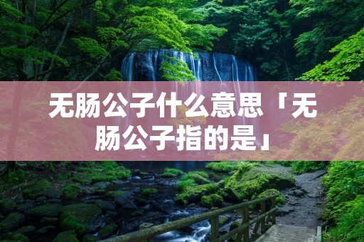 无肠公子什么意思「无肠公子指的是」 无肠公子什么意思「无肠公子指的是」