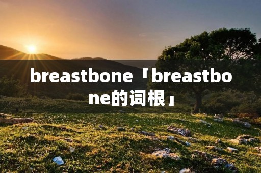 breastbone「breastbone的词根」