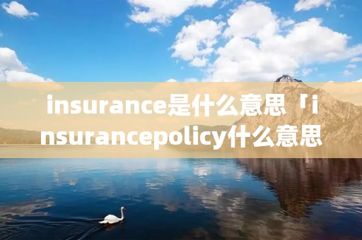 insurance是什么意思「insurancepolicy什么意思」