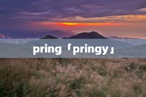 pring「pringy」