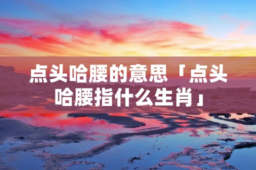 点头哈腰的意思「点头哈腰指什么生肖」