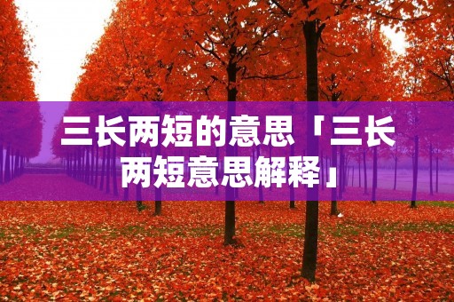 三长两短的意思「三长两短意思解释」