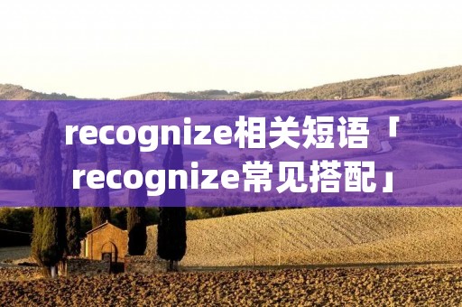 recognize相关短语「recognize常见搭配」