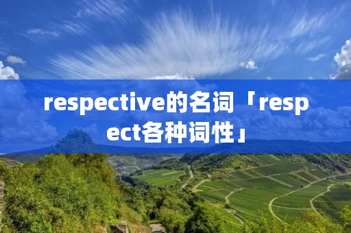 respective的名词「respect各种词性」