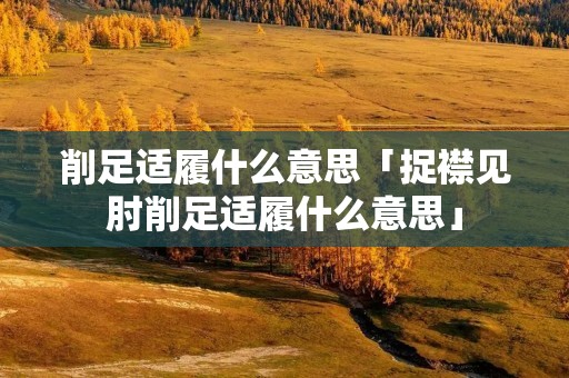 削足适履什么意思「捉襟见肘削足适履什么意思」 削足适履什么意思「捉襟见肘削足适履什么意思」