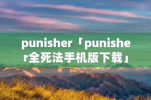 punisher「punisher全死法手机版下载」