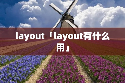 layout「layout有什么用」