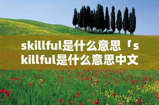 skillful是什么意思「skillful是什么意思中文」
