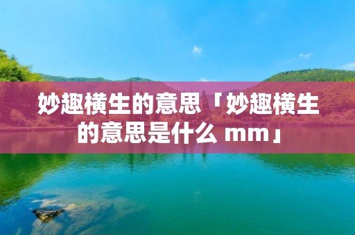 妙趣横生的意思「妙趣横生的意思是什么 mm」