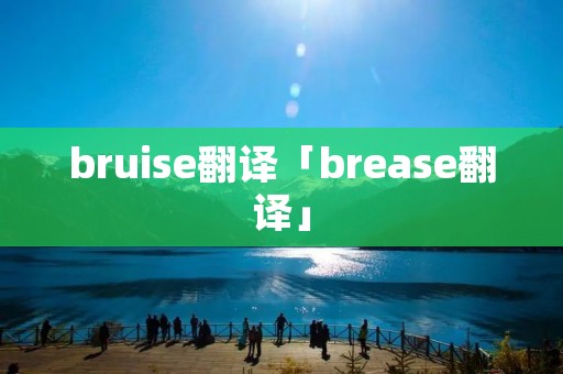 bruise翻译「brease翻译」