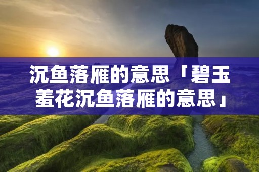 沉鱼落雁的意思「碧玉羞花沉鱼落雁的意思」