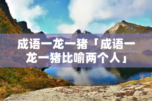 成语一龙一猪「成语一龙一猪比喻两个人」