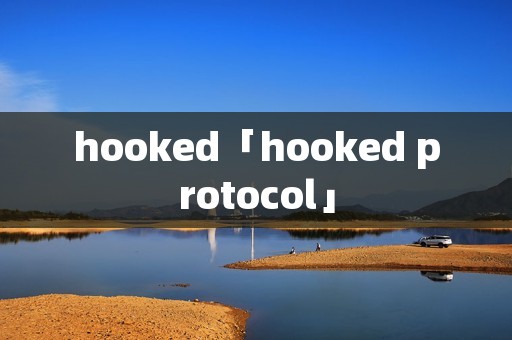 hooked「hooked protocol」