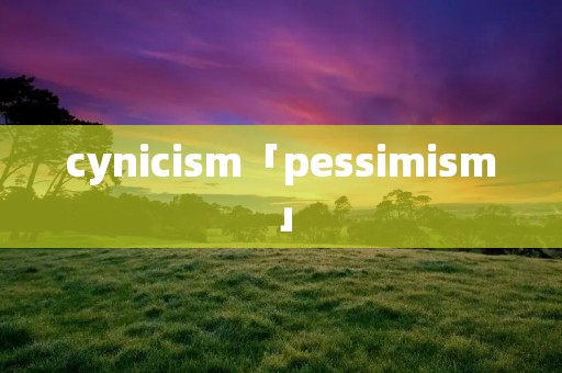 cynicism「pessimism」