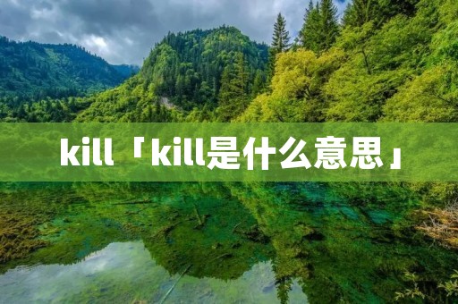 kill「kill是什么意思」