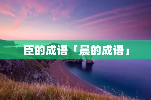 臣的成语「晨的成语」