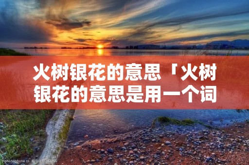 火树银花的意思「火树银花的意思是用一个词语来形容」
