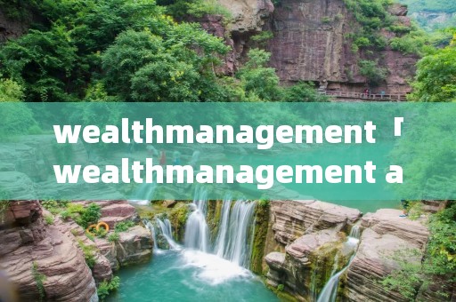 wealthmanagement「wealthmanagement asistant收入」