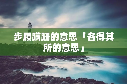 步履蹒跚的意思「各得其所的意思」