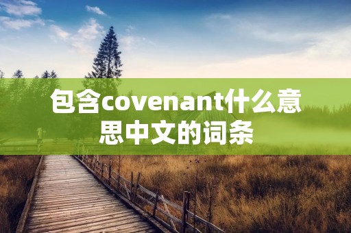 包含covenant什么意思中文的词条