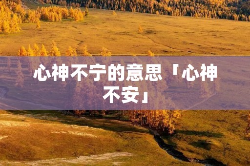 心神不宁的意思「心神不安」