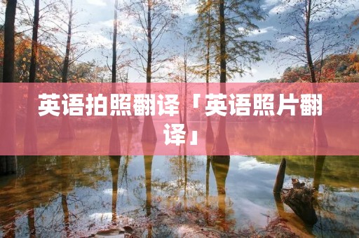 英语拍照翻译「英语照片翻译」