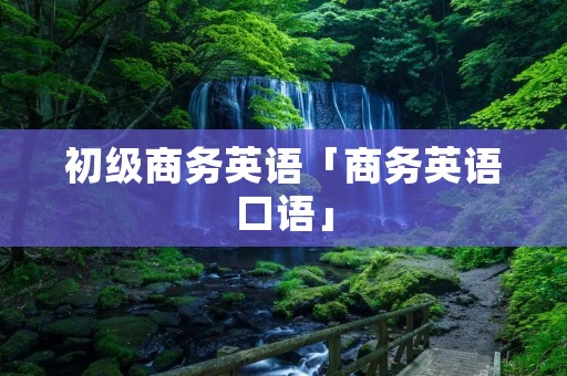 初级商务英语「商务英语口语」 初级商务英语「商务英语口语」