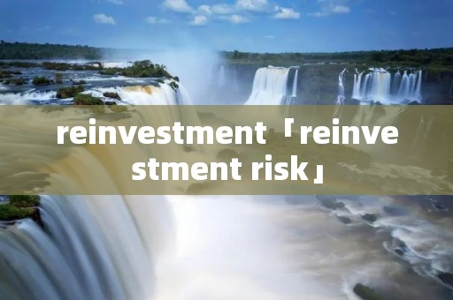 reinvestment「reinvestment risk」