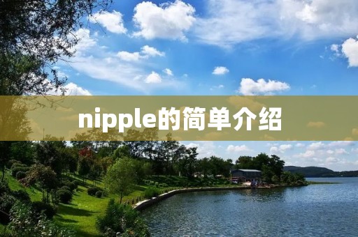nipple的简单介绍 nipple的简单介绍