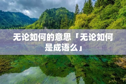 无论如何的意思「无论如何是成语么」