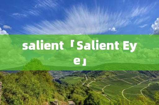 salient「Salient Eye」